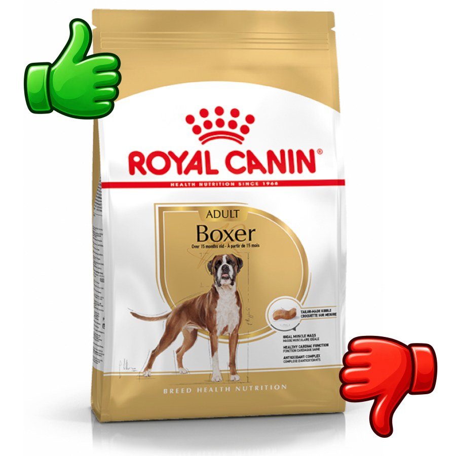 Royal Canin Adult Boxer pienso para perros