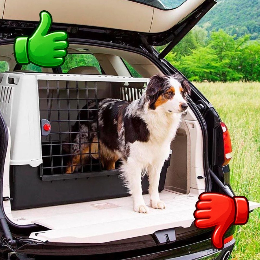 Ferplast Atlas Car Transportín para perros
