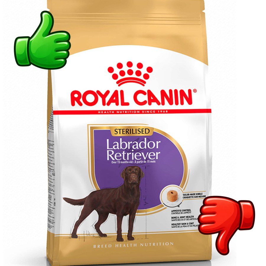 Royal Canin Adult Labrador Sterilised pienso para perros