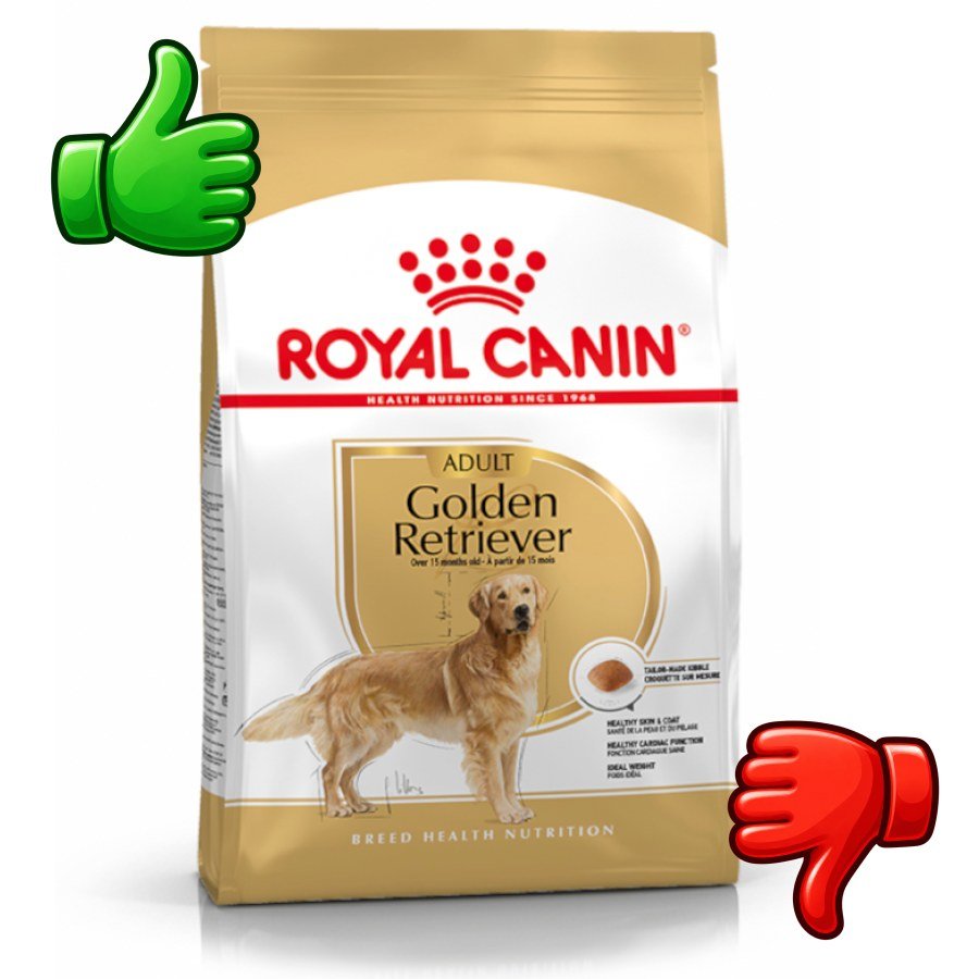 Royal Canin Adult Golden Retriever pienso para perros