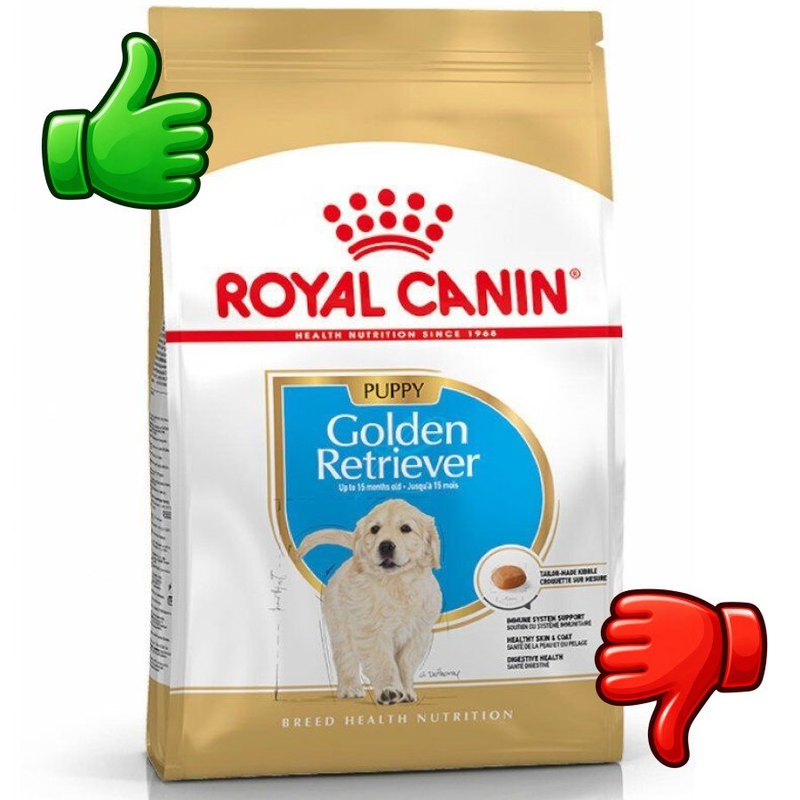 Royal Canin Puppy Golden Retriever pienso para perros