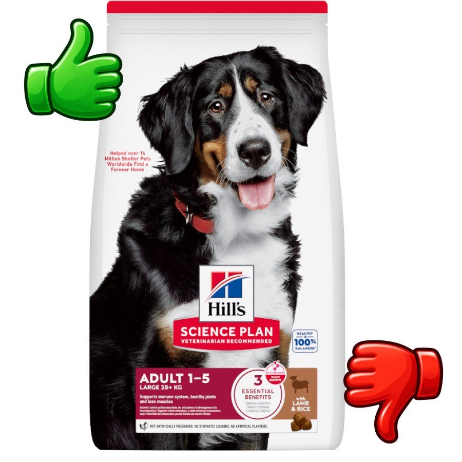 Hills Science Plan Adult Large Breed pienso cordero y arroz para perros de razas grandes