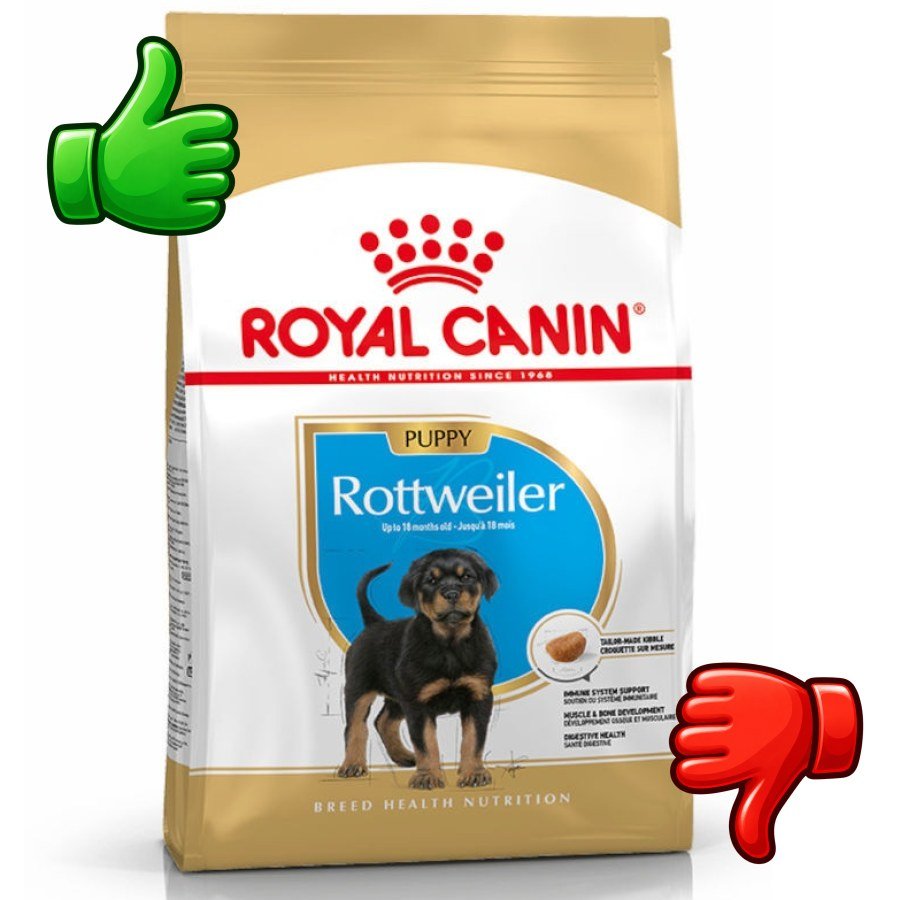 Royal Canin Puppy Rottweiler pienso para perros