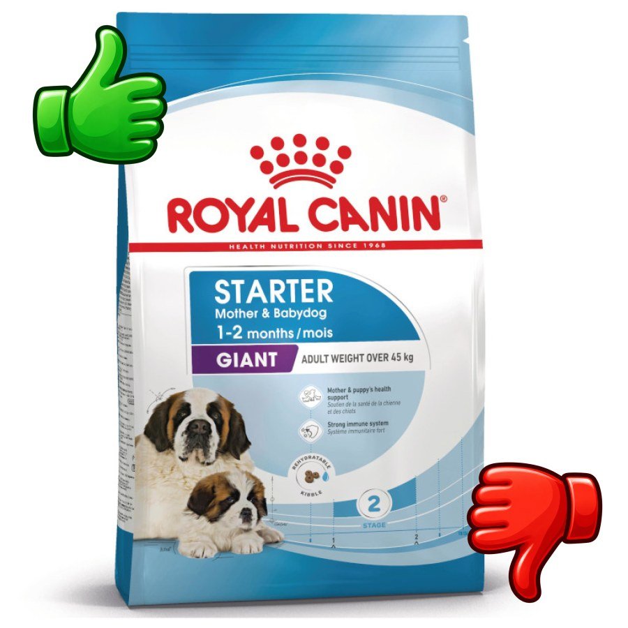 Royal Canin Starter Puppy Giant Pienso para perros