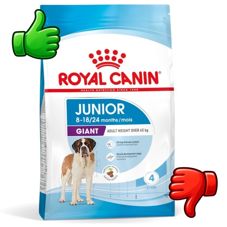Royal Canin Junior Giant pienso para perros
