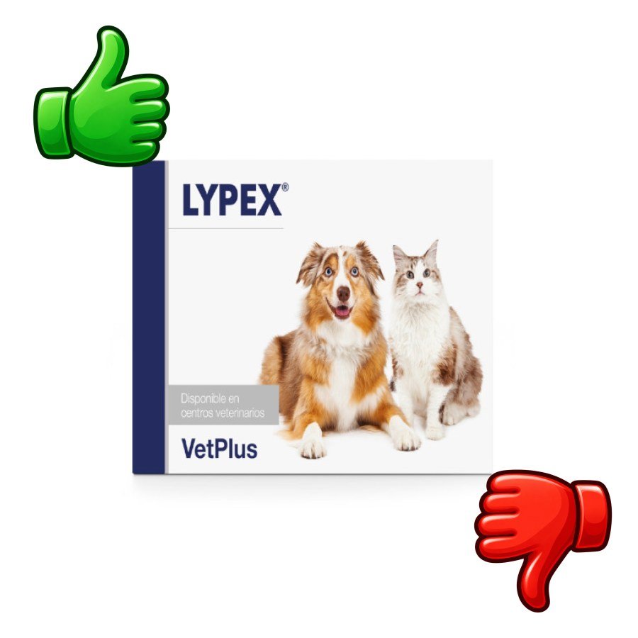 VetPlus Lypex Suplemento en Comprimidos para perros