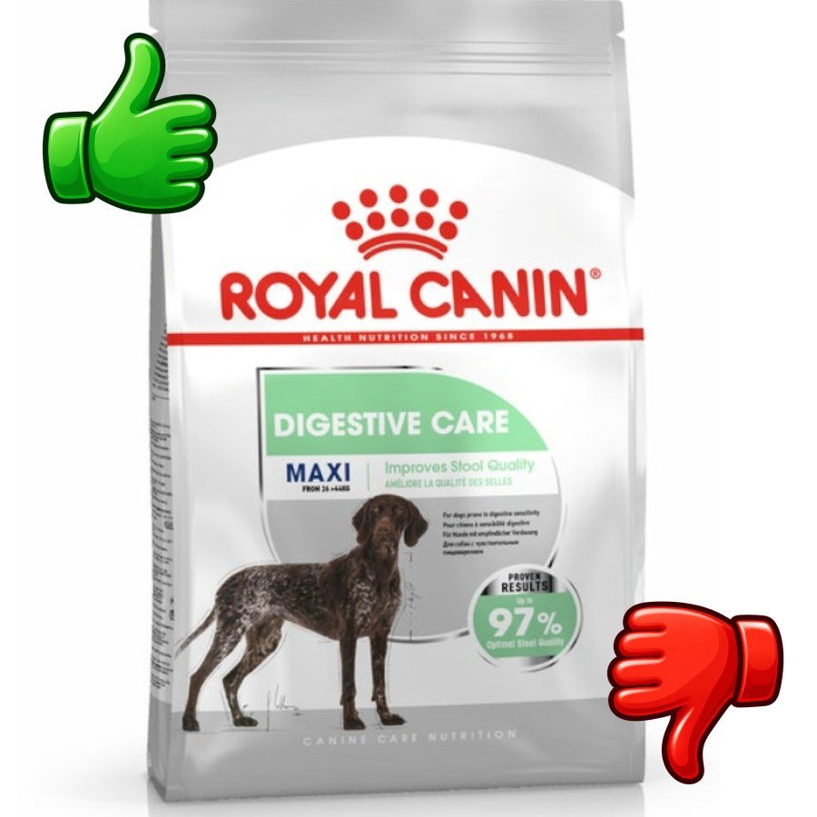 Royal Canin Digestive Care Maxi pienso para perros