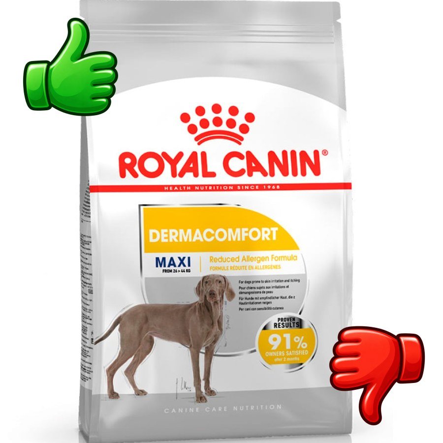 Royal Canin Dermacomfort Maxi pienso para perros