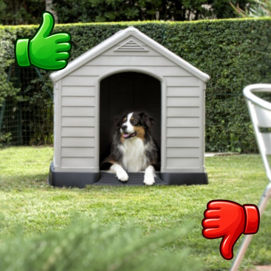 Curver Caseta para perros