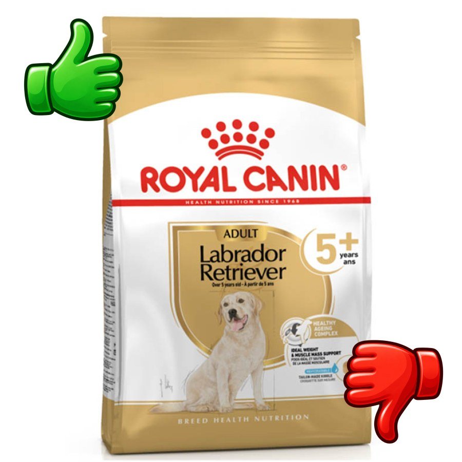 Royal Canin Adult 5+ Labrador pienso para perros