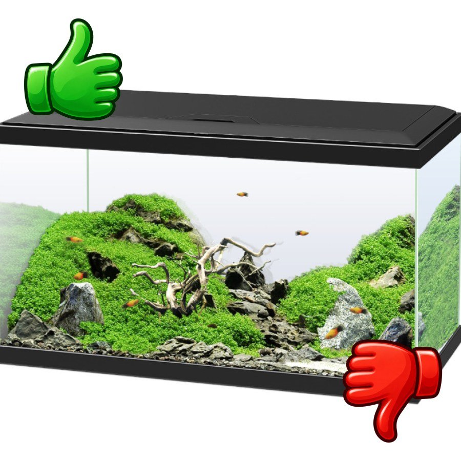 Ciano Aqua Led 60 Negro acuario con luz led filtro y calentador