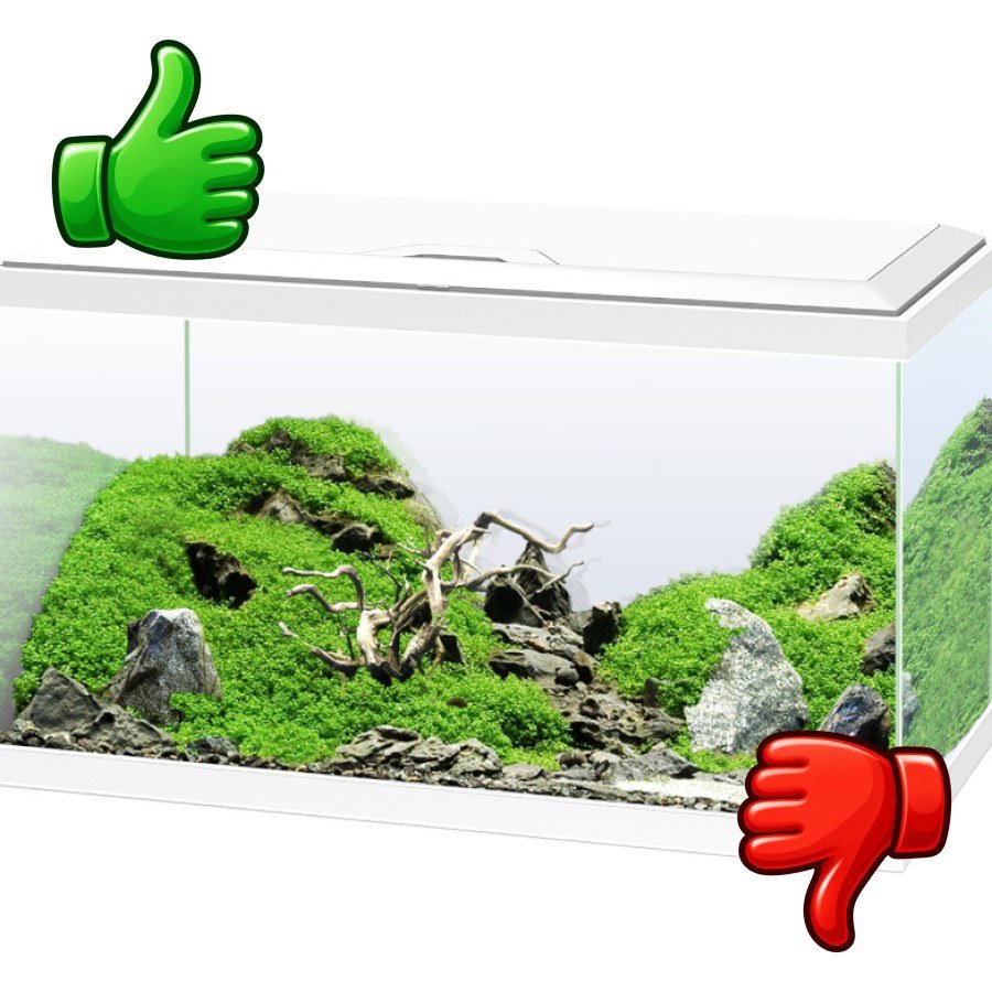 Ciano Aqua Led 60 Blanco acuario con luz led filtro y calentador
