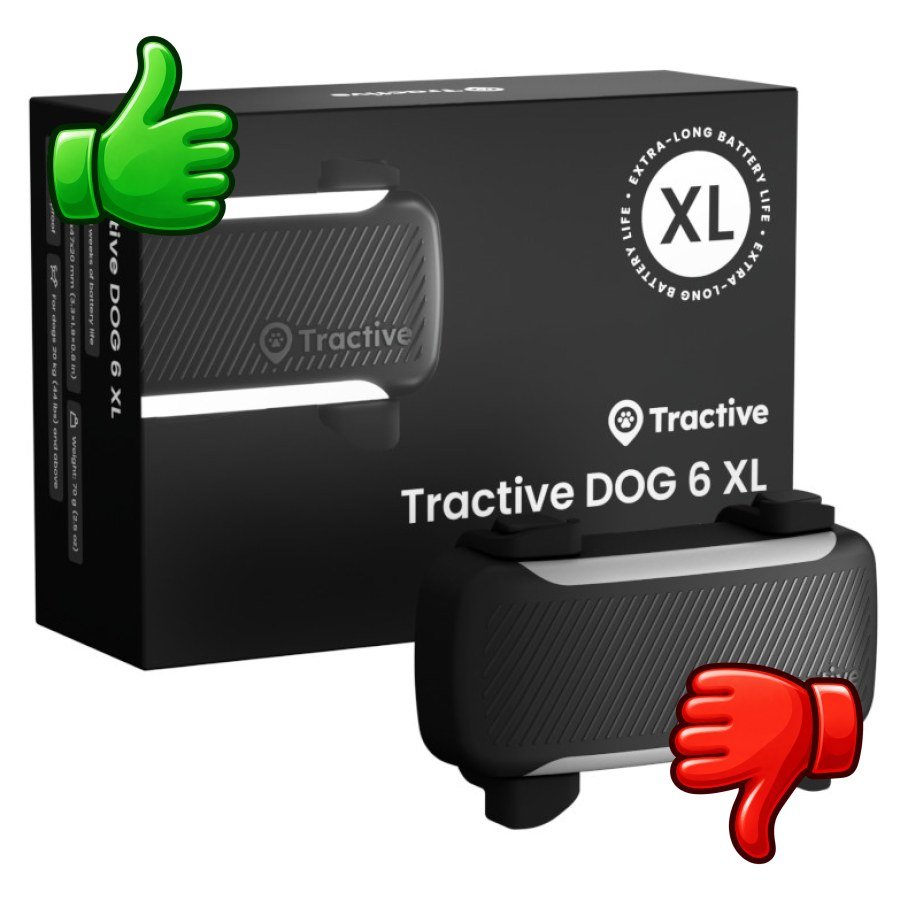Tractive Dog 6 XL Negro GPS para perros