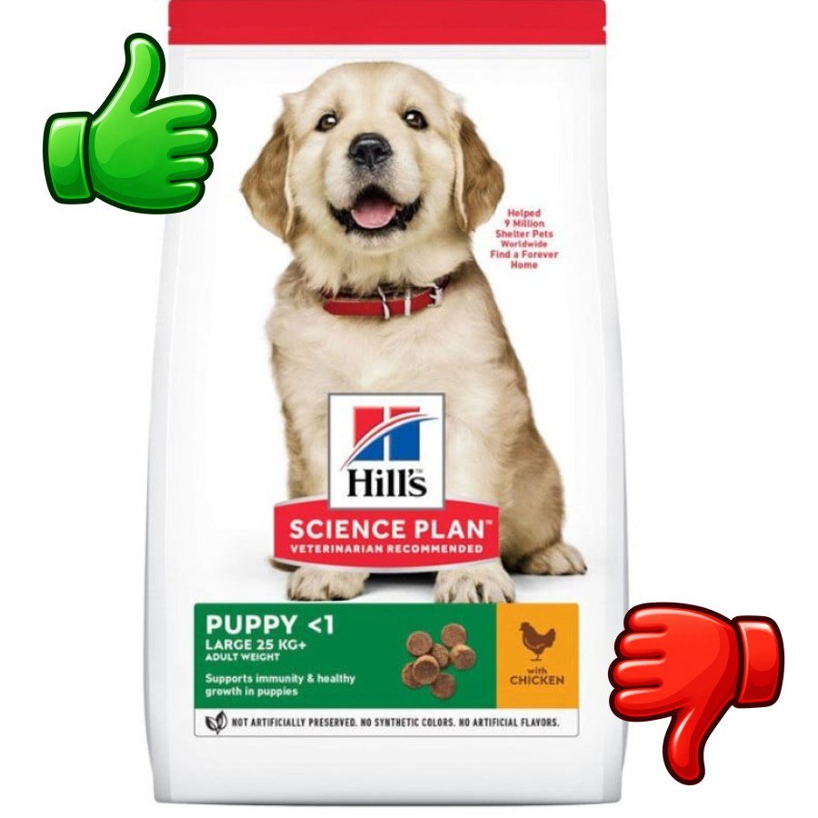 Hills Science Plan pienso pollo para cachorros de razas grandes