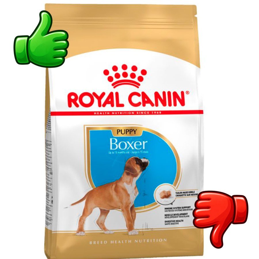 Royal Canin Puppy Boxer pienso para perros