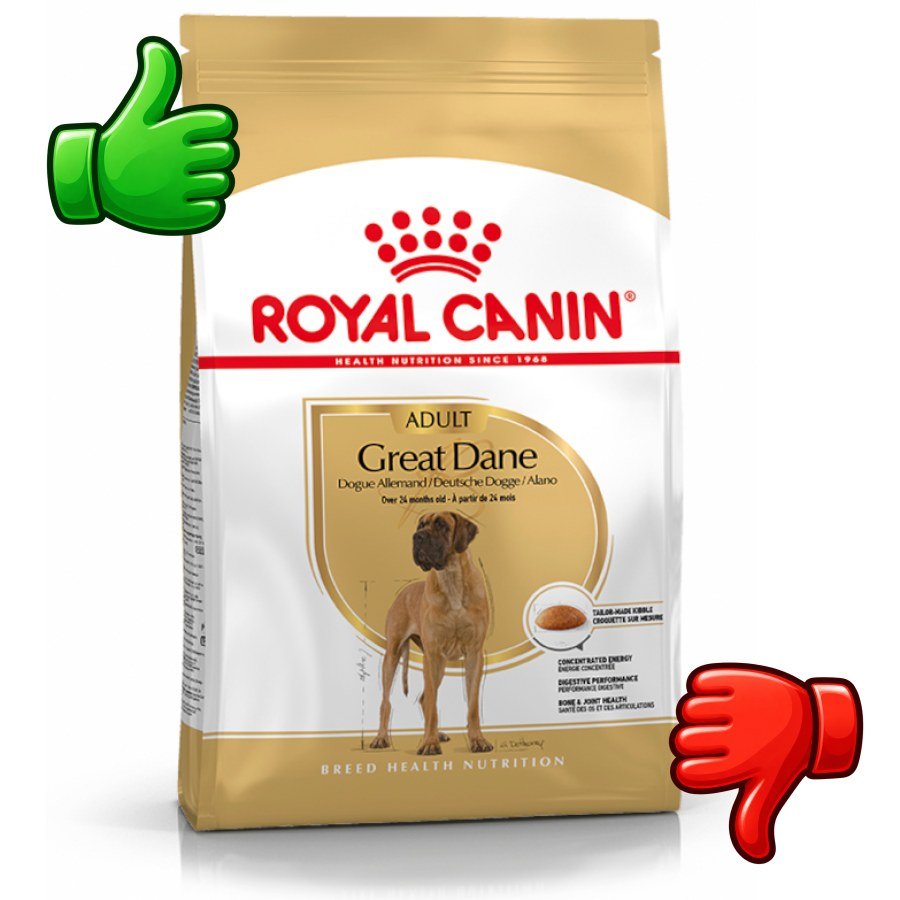 Royal Canin Adult Great Dane pienso para perros