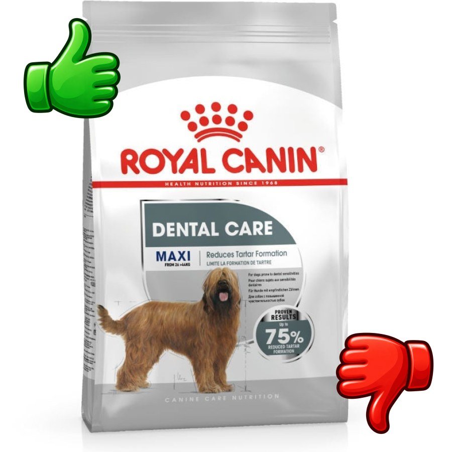 Royal Canin Dental Care Maxi pienso para perros