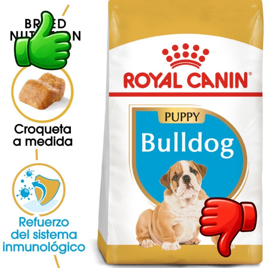 Royal Canin Puppy Bulldog pienso para perros