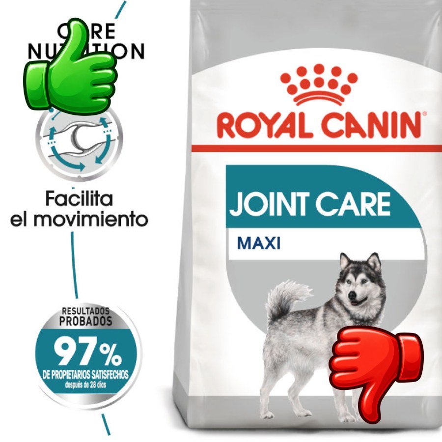 Royal Canin Joint Care Maxi pienso para perros