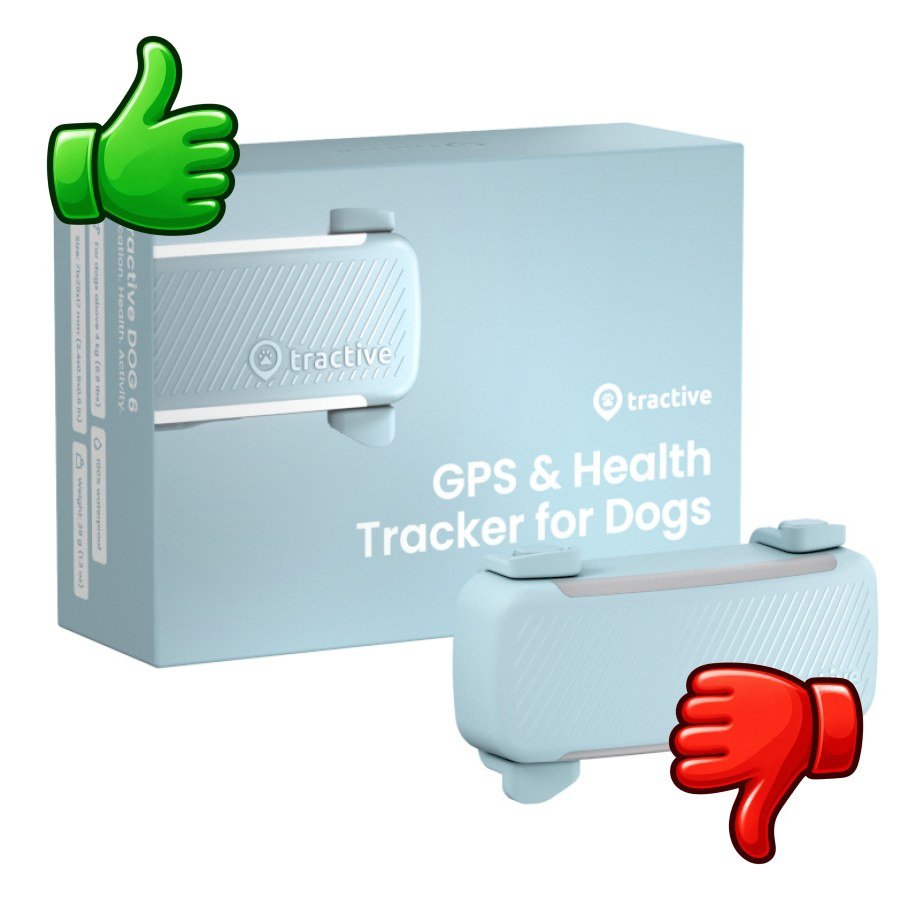 Tractive GPS Dog 6 Menta Rastreador para perros